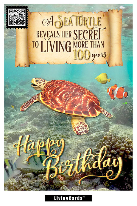 Secret of a Sea Turtle. Pack of 6 - ardesigngroup