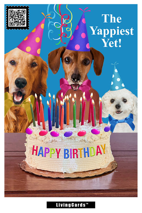 Dog Cake Card. Pack of 6 - ardesigngroup